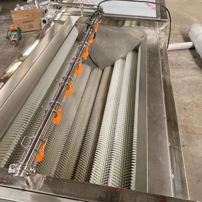 Wolle-rolle Schälmaschine-Blasen-Waschmaschinen-Gemüse-und Frucht-Reinigungs-Maschinen-Gemüseproduktlinie der Karotten-500kg/h
