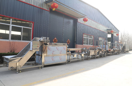 1000kg/H Pommes Frites Chips Production Line