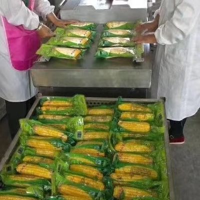 Plastiktasche-Kammer-Vakuumverpackungsmaschine, industrielle Vakuumverpackungsmaschine