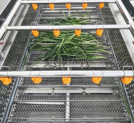 Waschmaschine der Blasen-SUS304 für Obst- und GemüseProduktlinie