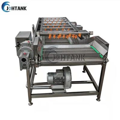 Industrielle automatische Gemüse-und Frucht-Reinigungs-Reinigungsmaschine für Tomaten-Salat